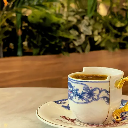 فندق وينجارت إسطنبول 4*